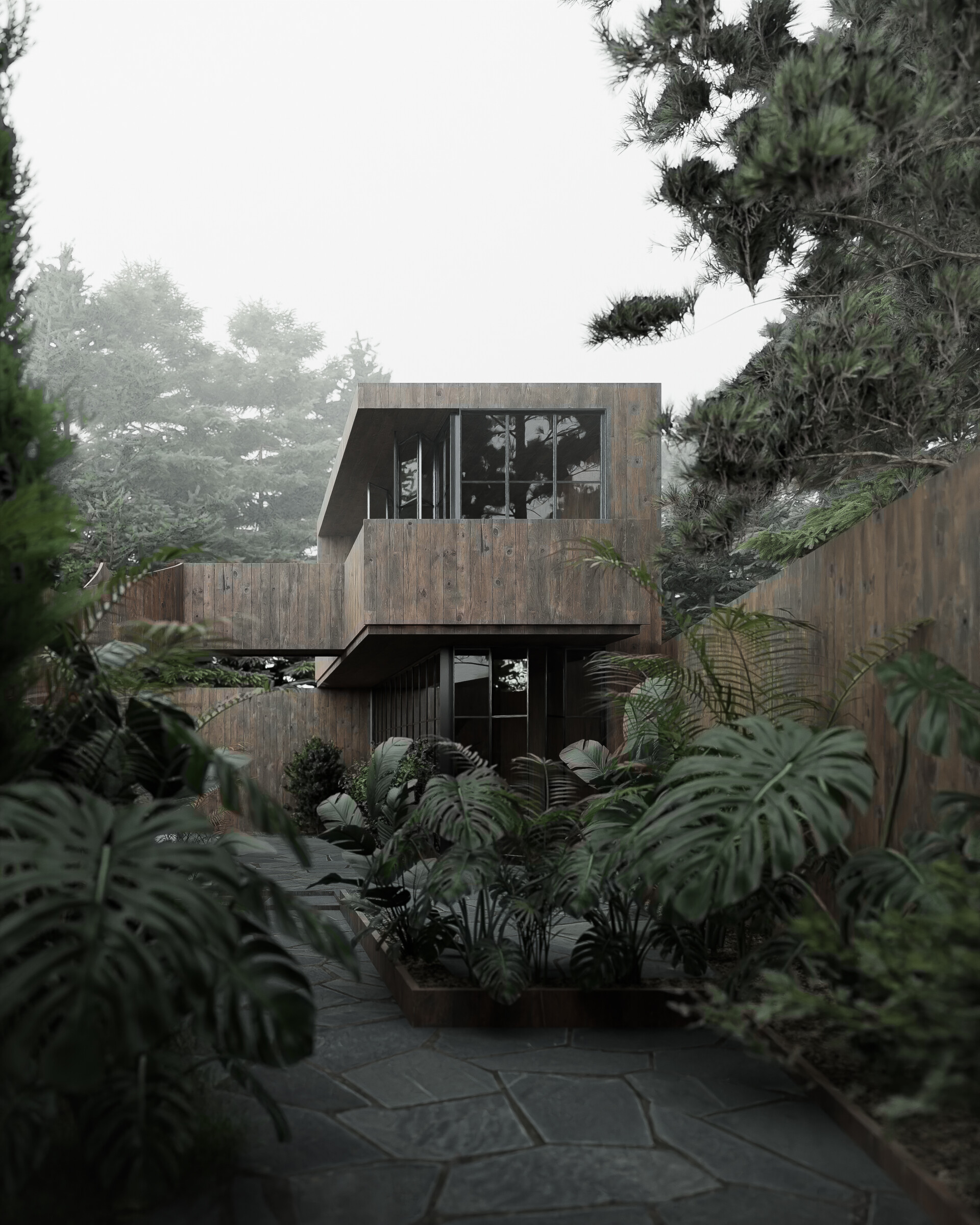 House in the Jungle - تصویر 11911