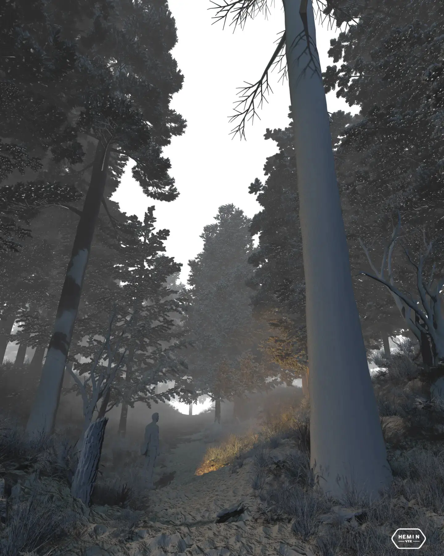 Lonely In unknown jungle and a beautiful path - تصویر 11920