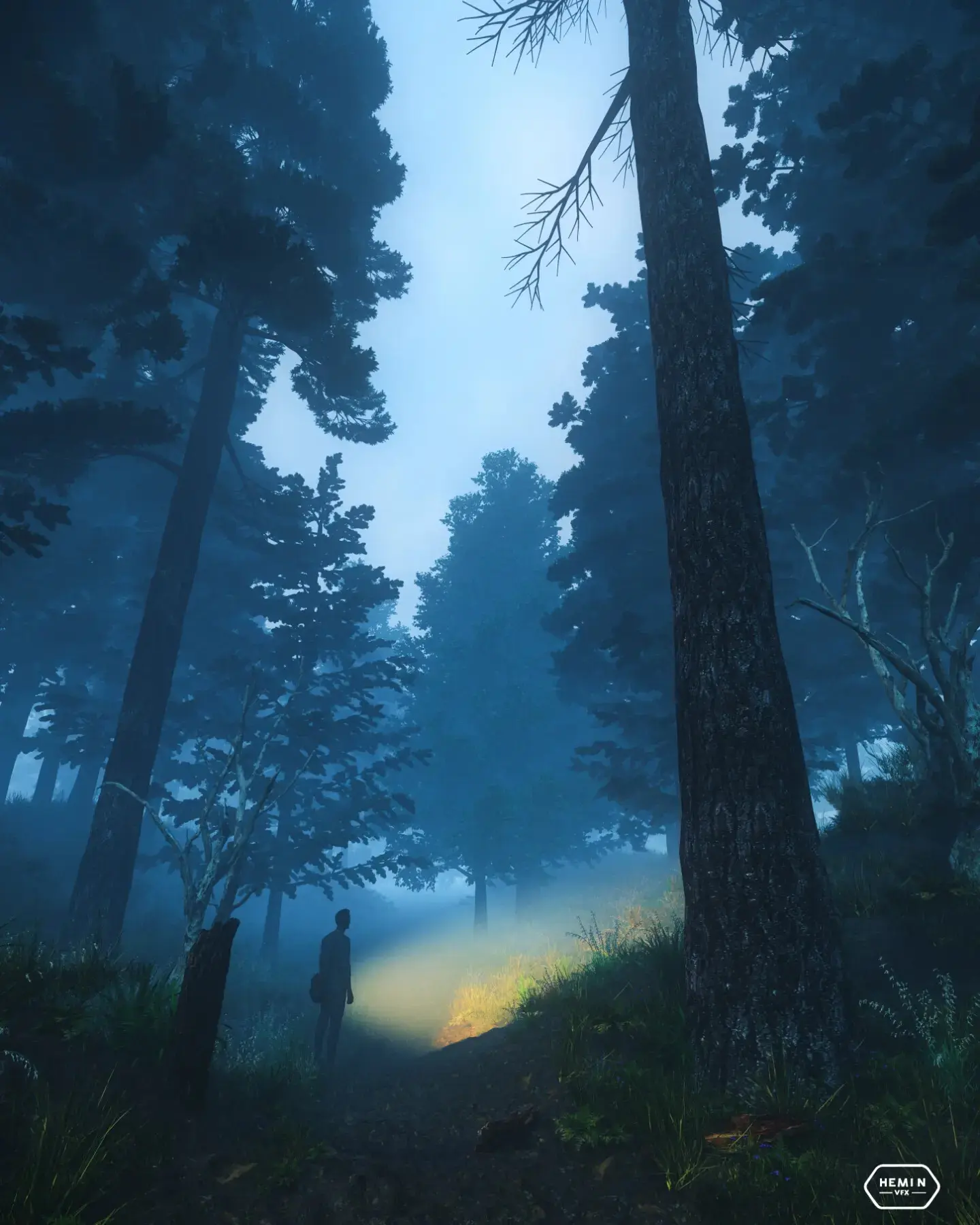 Lonely In unknown jungle and a beautiful path - تصویر 11922