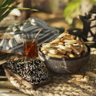 Relaxing in the grove