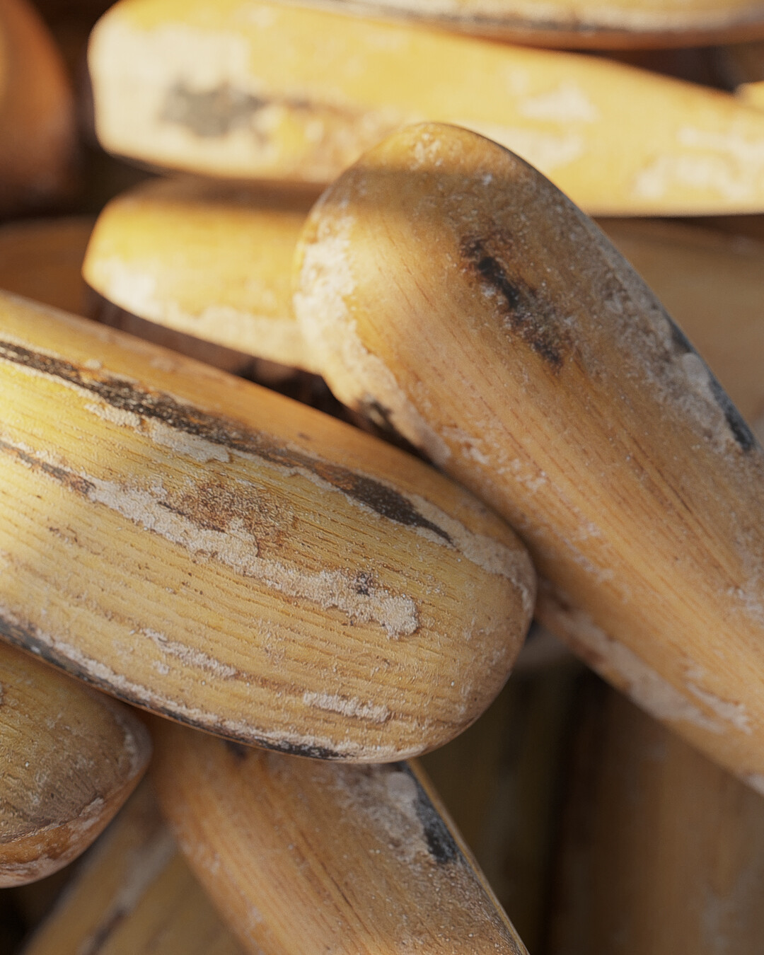 Relaxing in the grove - تصویر 12040