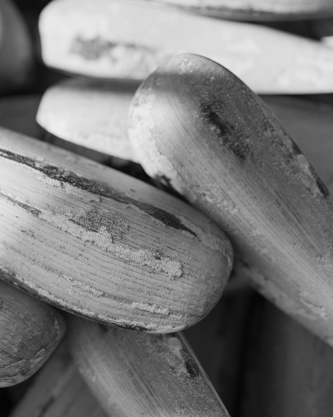 Relaxing in the grove - تصویر 12045