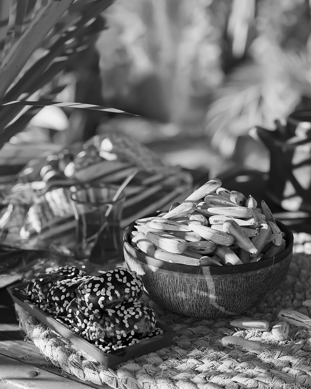 Relaxing in the grove - تصویر 12046