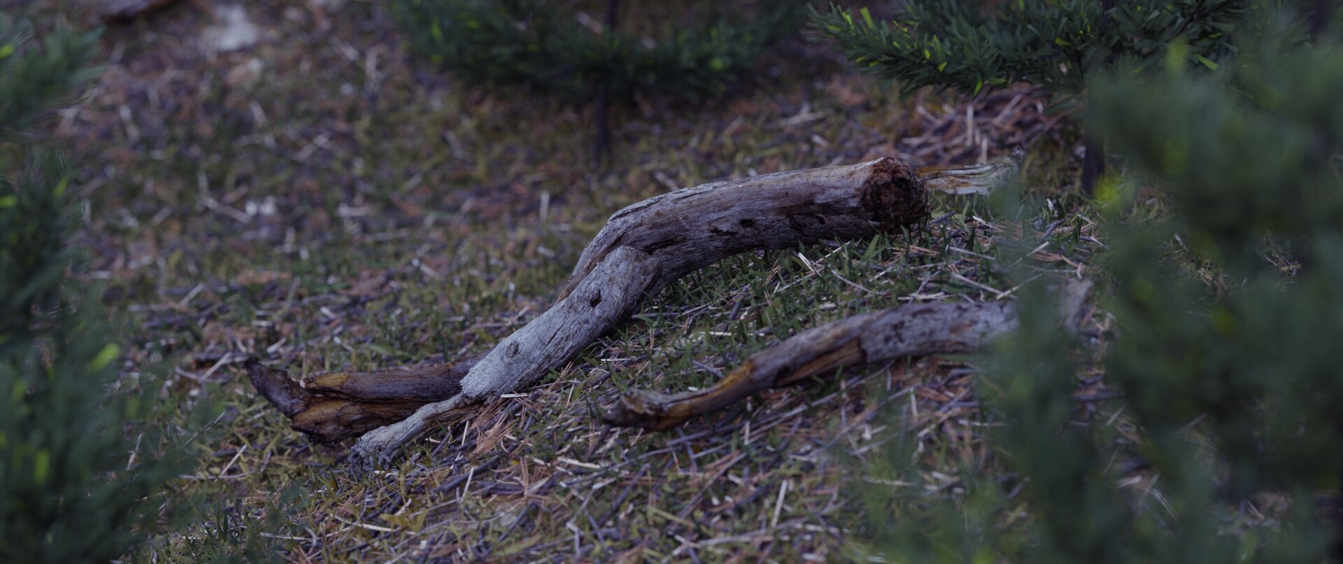 The Cabin in the Woods - تصویر 12049