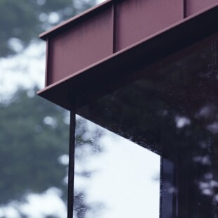 The Cabin in the Woods