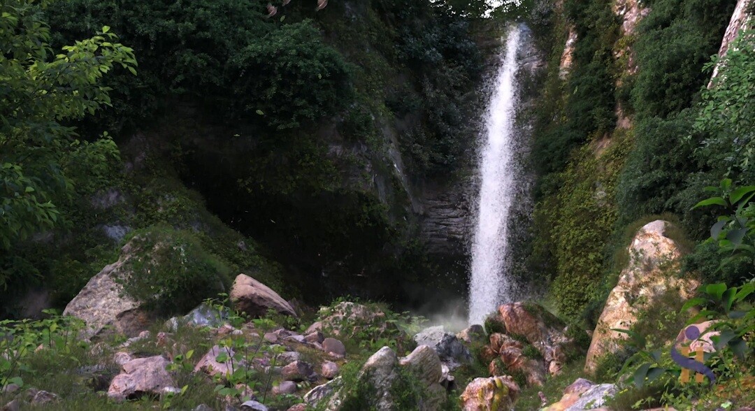 جنگل باستانی - تصویر 12115