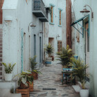 "secret of the alley"