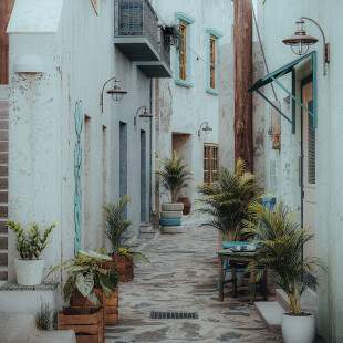 "secret of the alley"