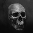 Human skull