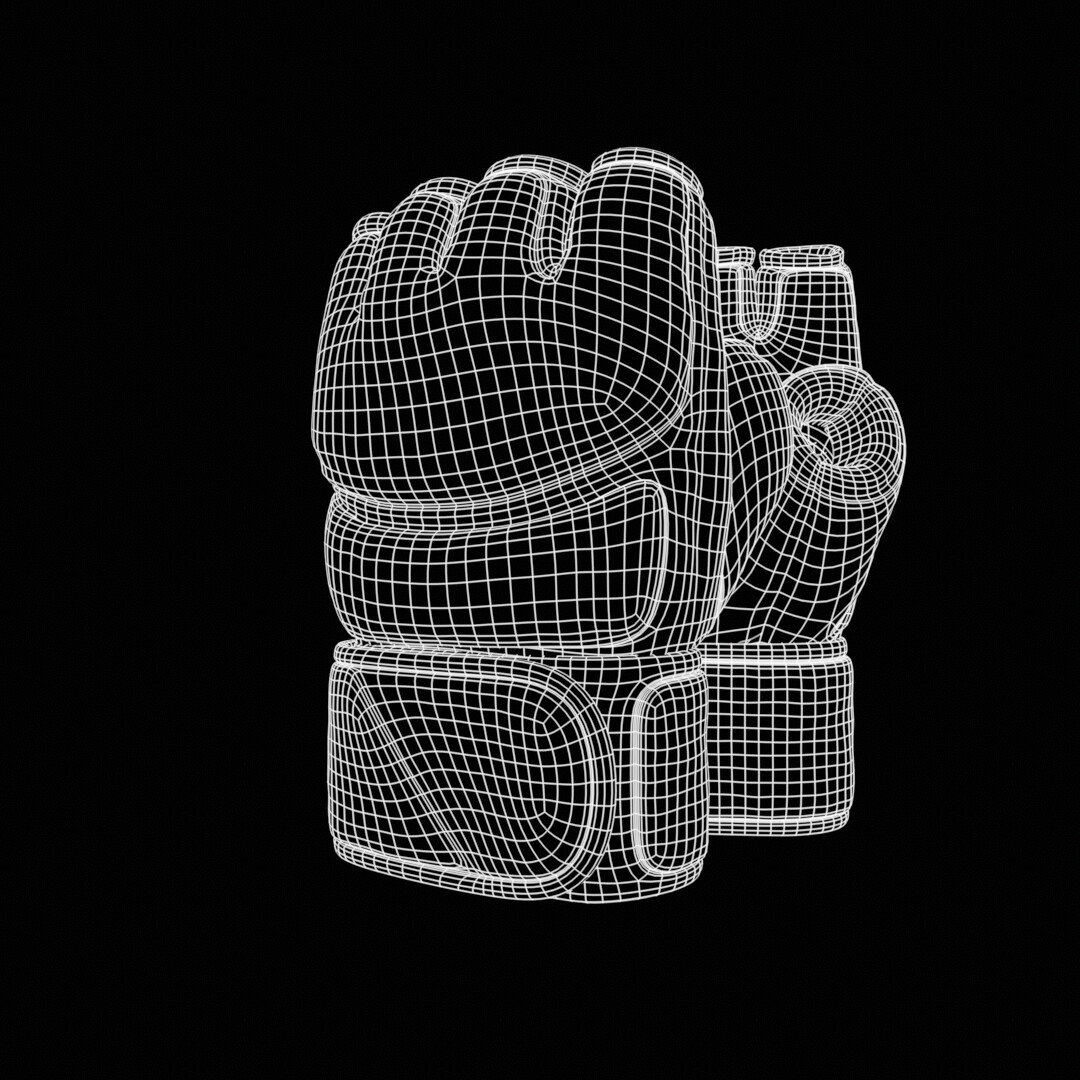 ufc gloves - تصویر 12144