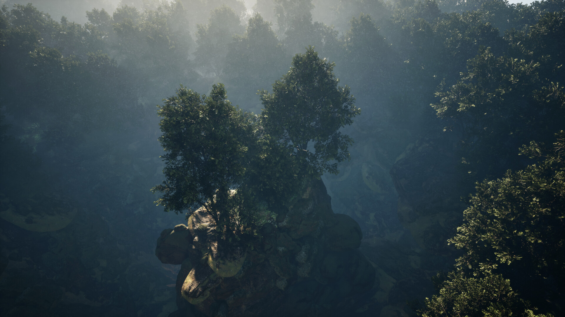 جنگل مه آلود - تصویر 12237