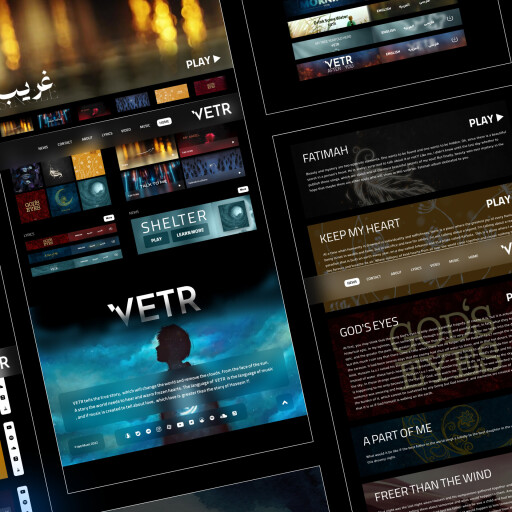 Redesign Vetr Website