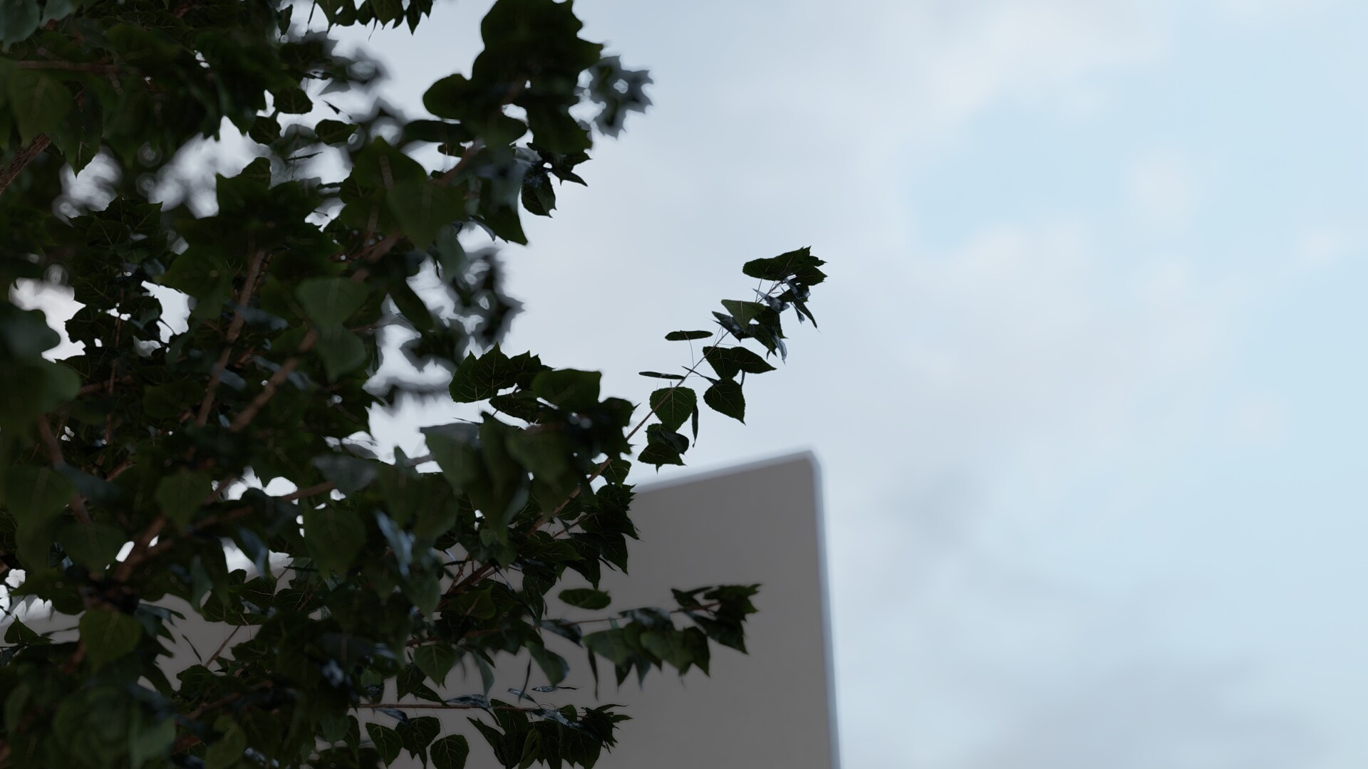 انیمیشن خانه بارانی - تصویر 12551