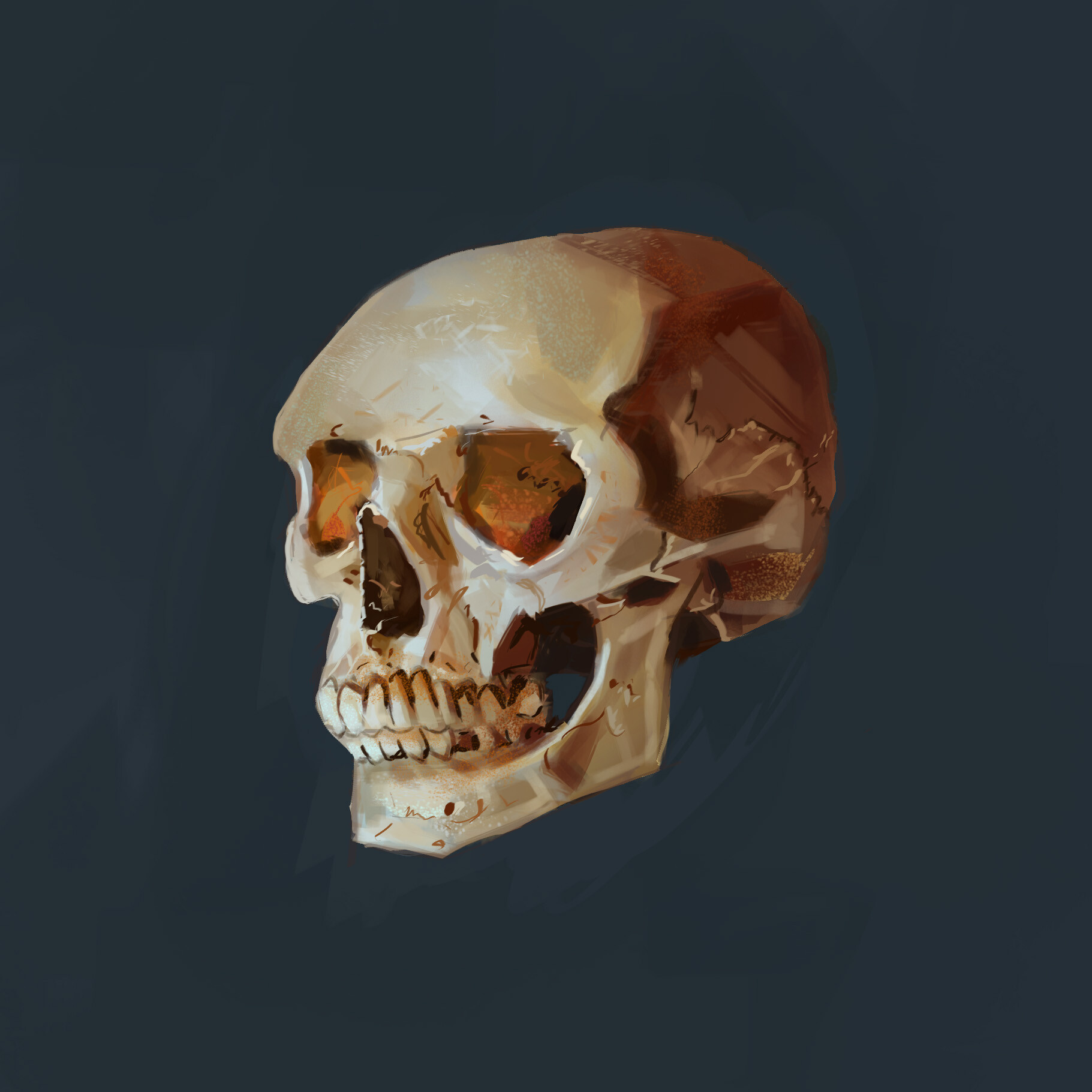 study - تصویر 12553