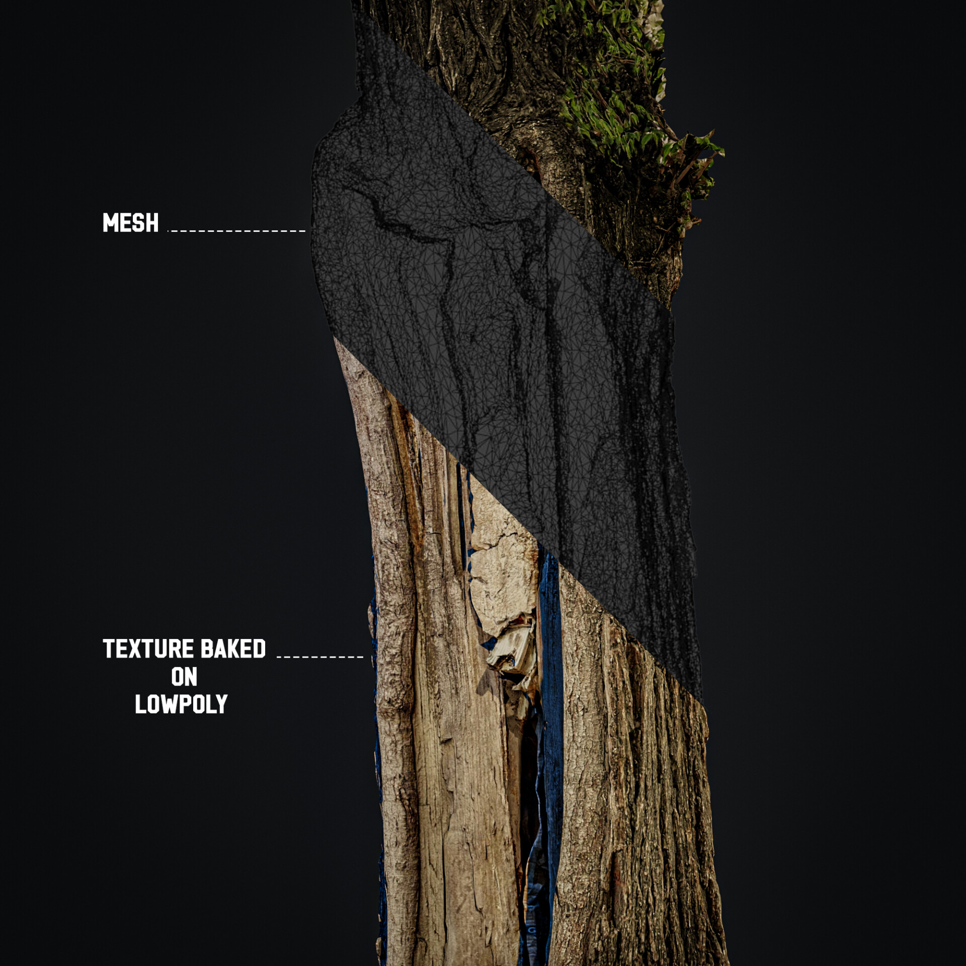 Photogrammetry - تصویر 12784