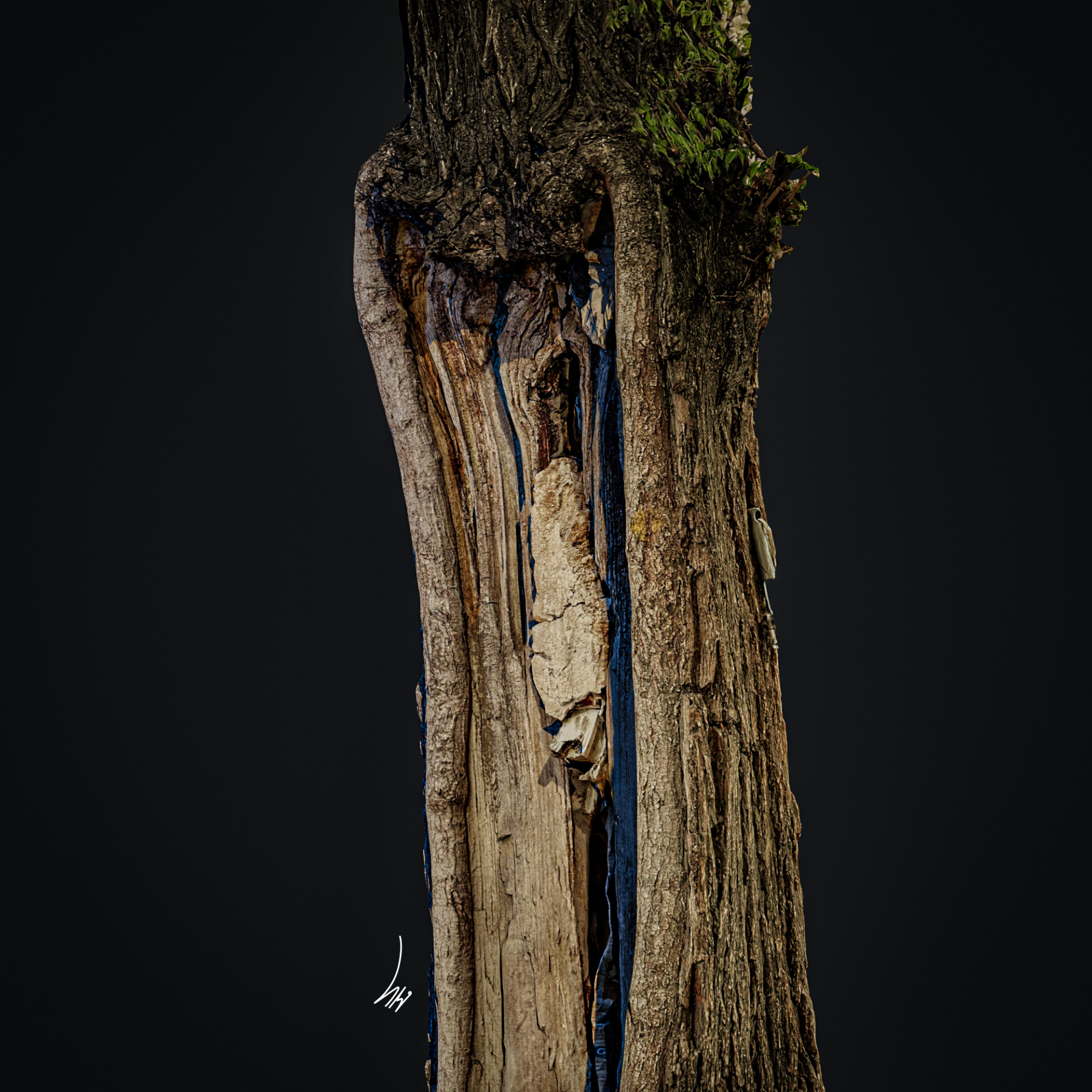 Photogrammetry - تصویر 12785