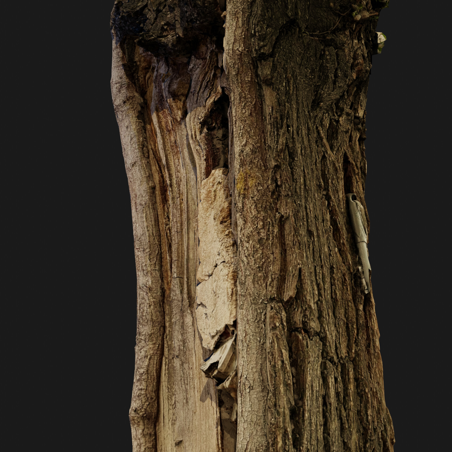 Photogrammetry - تصویر 12786