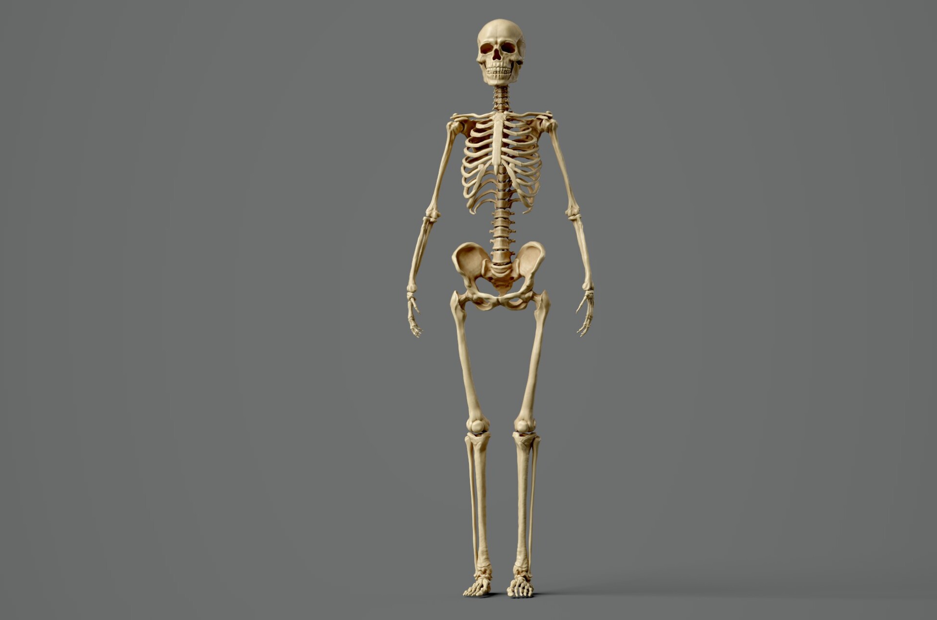 RGB Gods - تصویر 12873