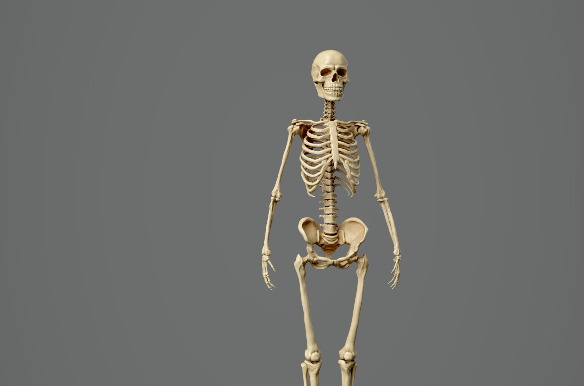 RGB Gods - تصویر 12874