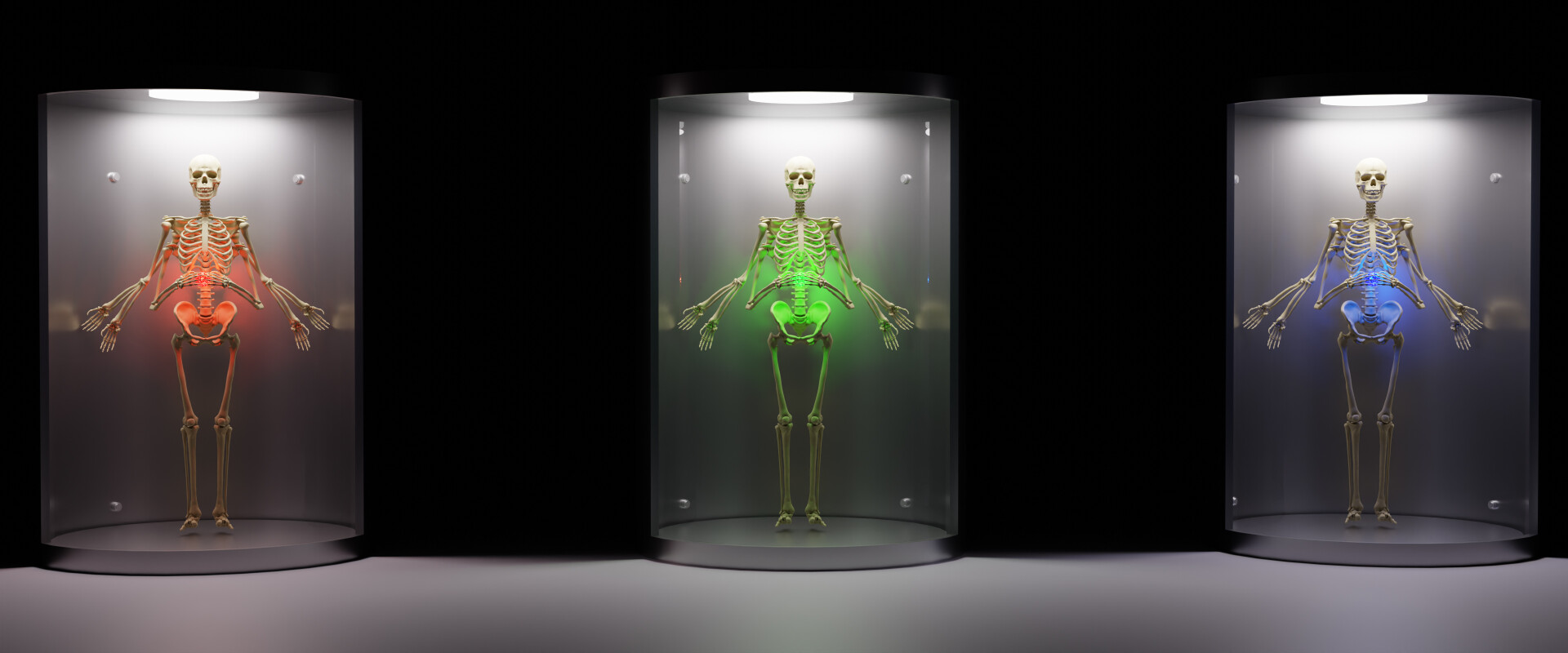 RGB Gods - تصویر 12880