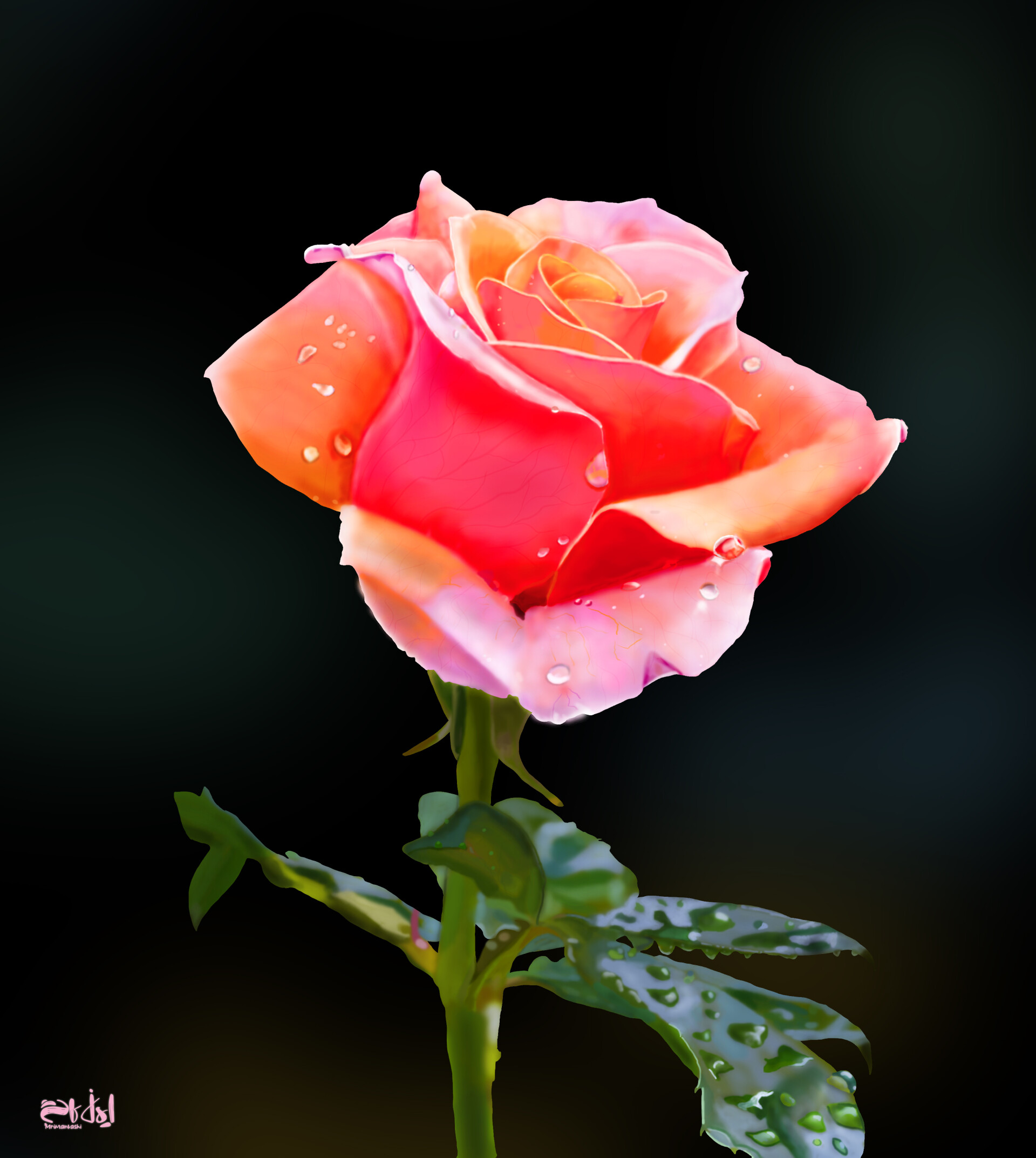 تصویر سازی و نقاشی دیجیتالی گل رز - تصویر 12889