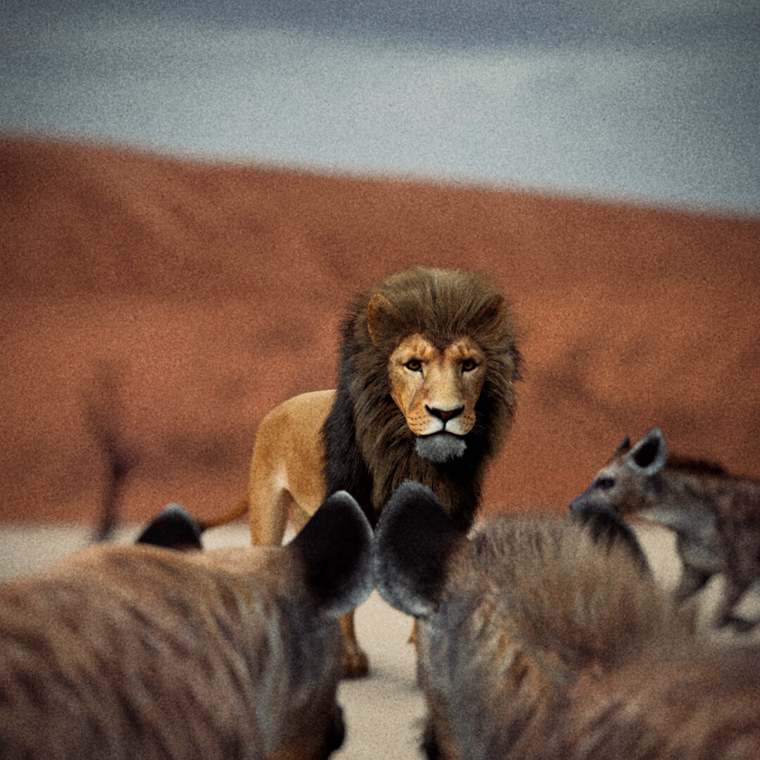 Lion - تصویر 12900