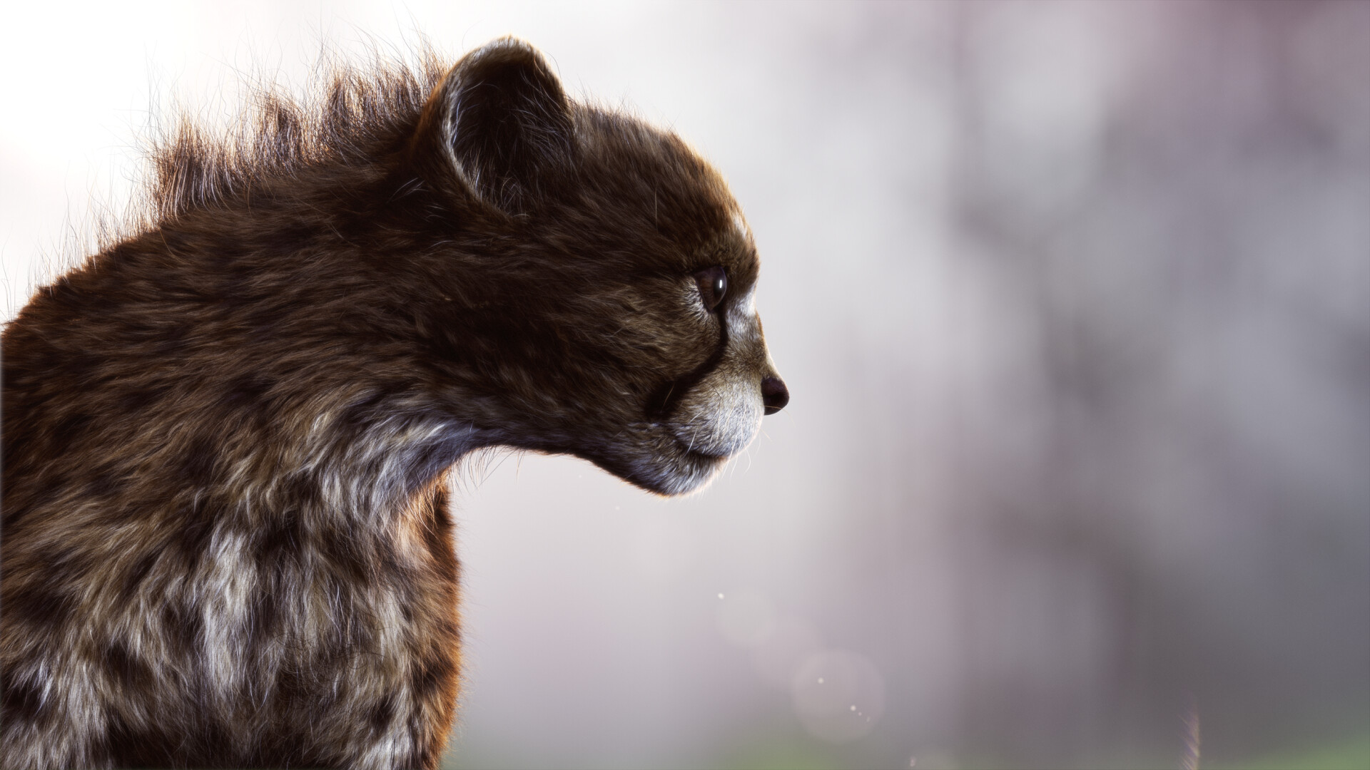 Pirouz _ Basic to Advance Yeti course - تصویر 12905