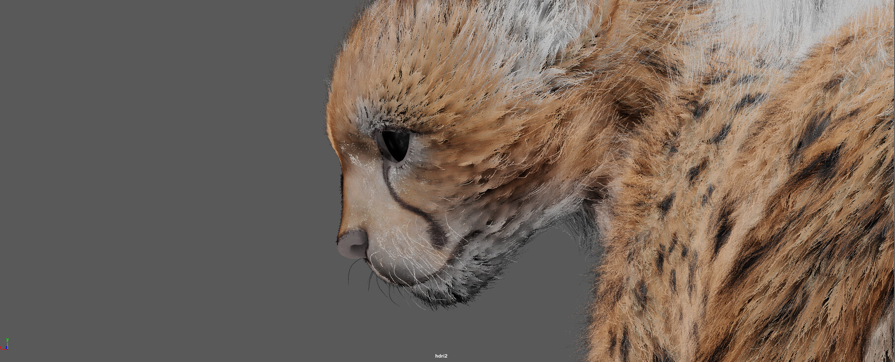 Pirouz _ Basic to Advance Yeti course - تصویر 12907