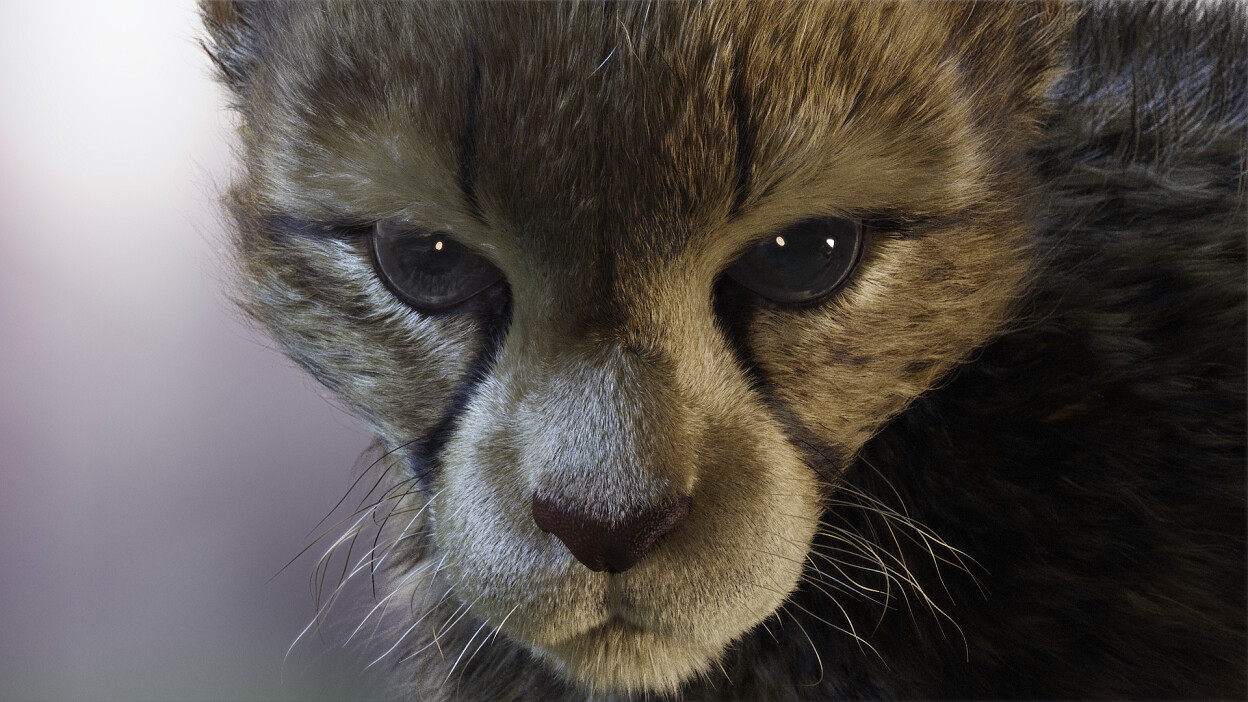 Pirouz _ Basic to Advance Yeti course - تصویر 12906