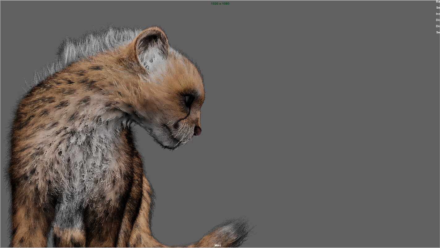 Pirouz _ Basic to Advance Yeti course - تصویر 12909