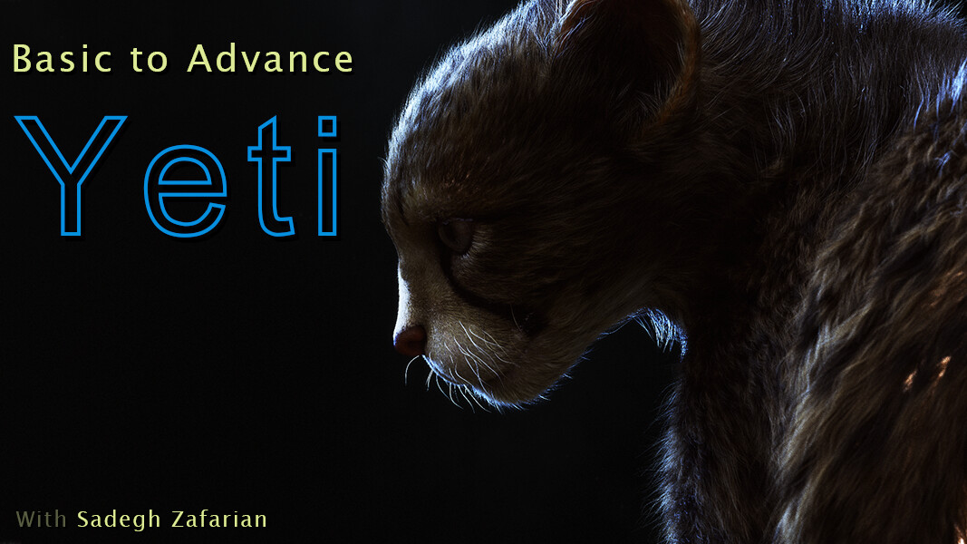 Pirouz _ Basic to Advance Yeti course - تصویر 12912