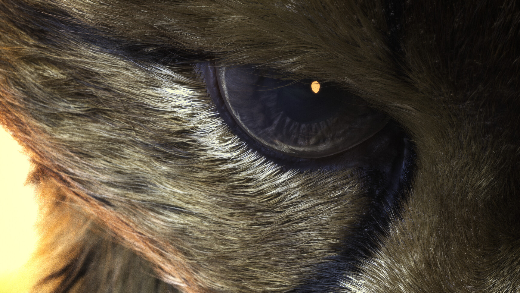 Pirouz _ Basic to Advance Yeti course - تصویر 12913