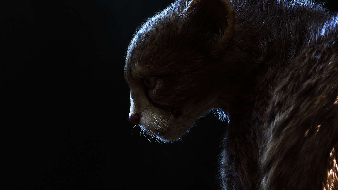 Pirouz _ Basic to Advance Yeti course - تصویر 12914