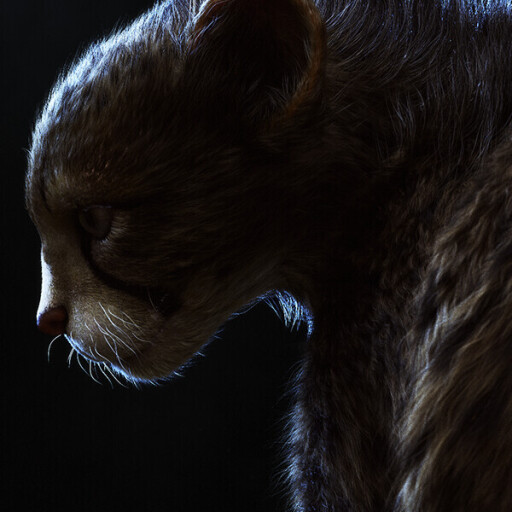 Pirouz _ Basic to Advance Yeti course