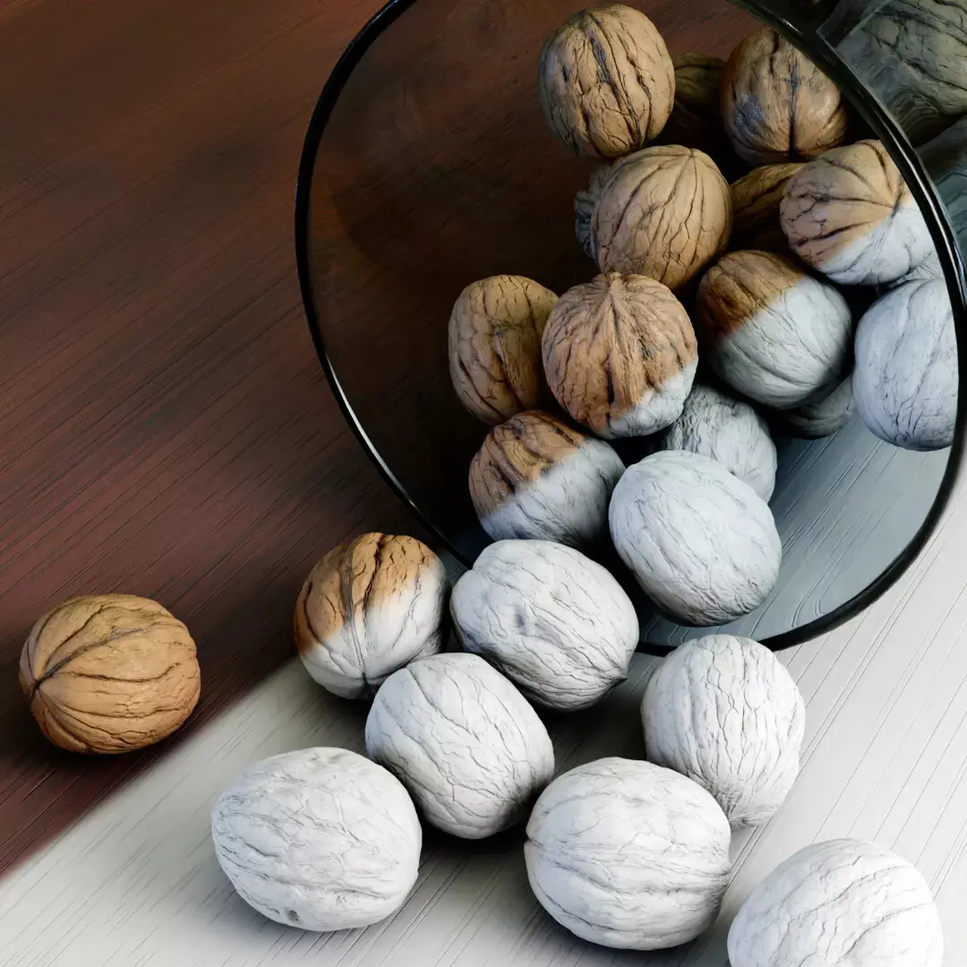 walnut - تصویر 13322