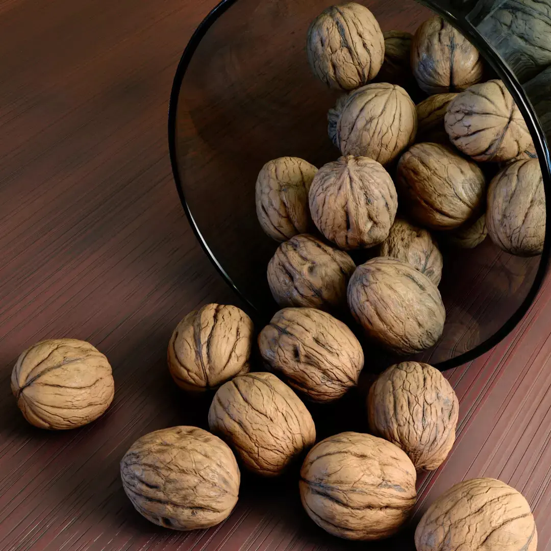 walnut - تصویر 13324