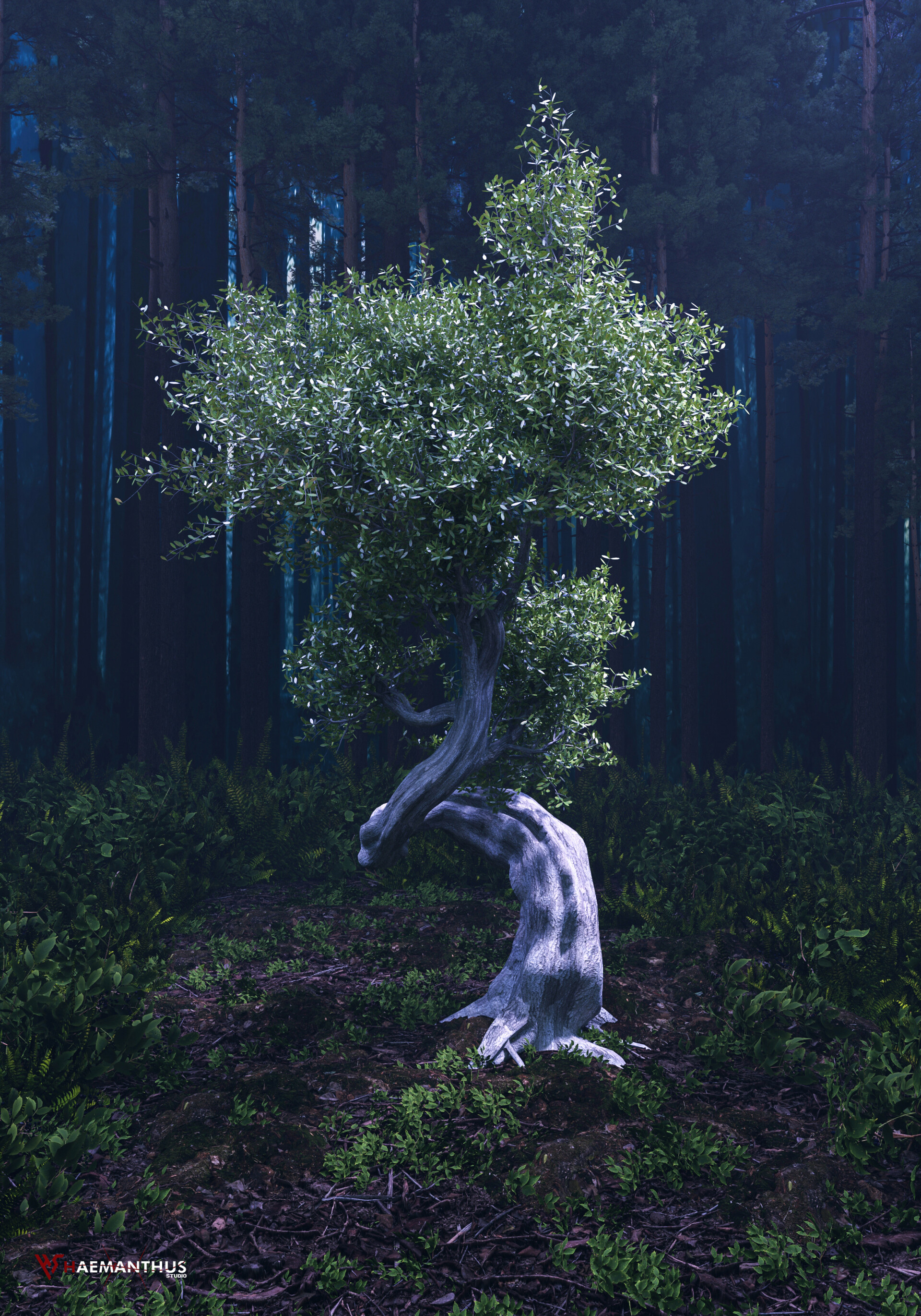 جنگل مه آلود - تصویر 13382