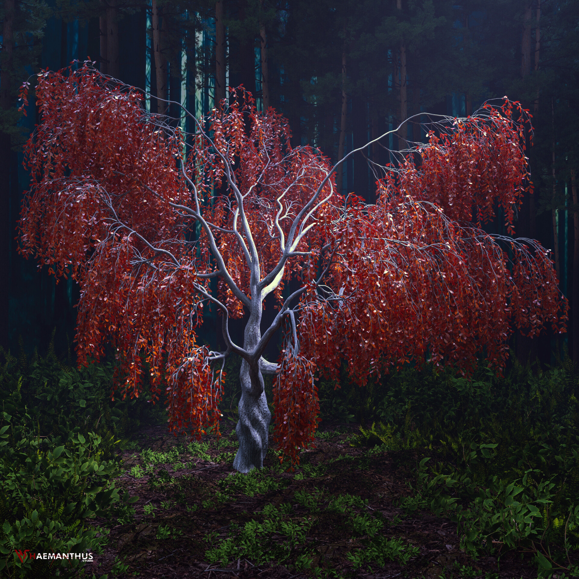 جنگل مه آلود - تصویر 13383