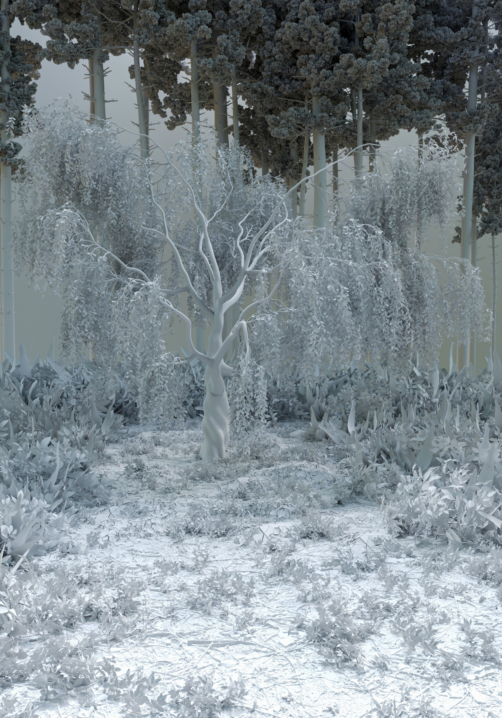 جنگل مه آلود - تصویر 13384