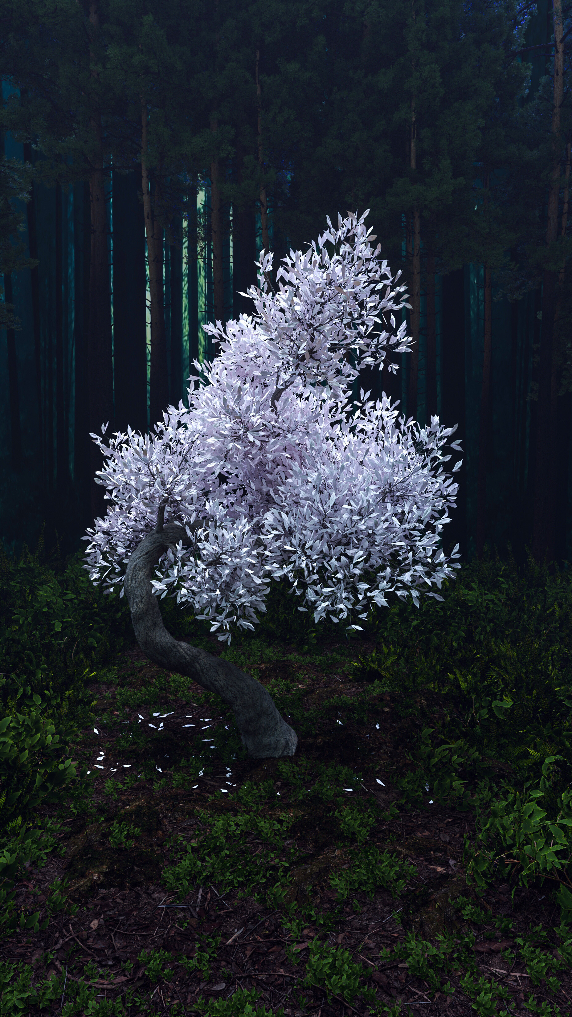 جنگل مه آلود - تصویر 13385