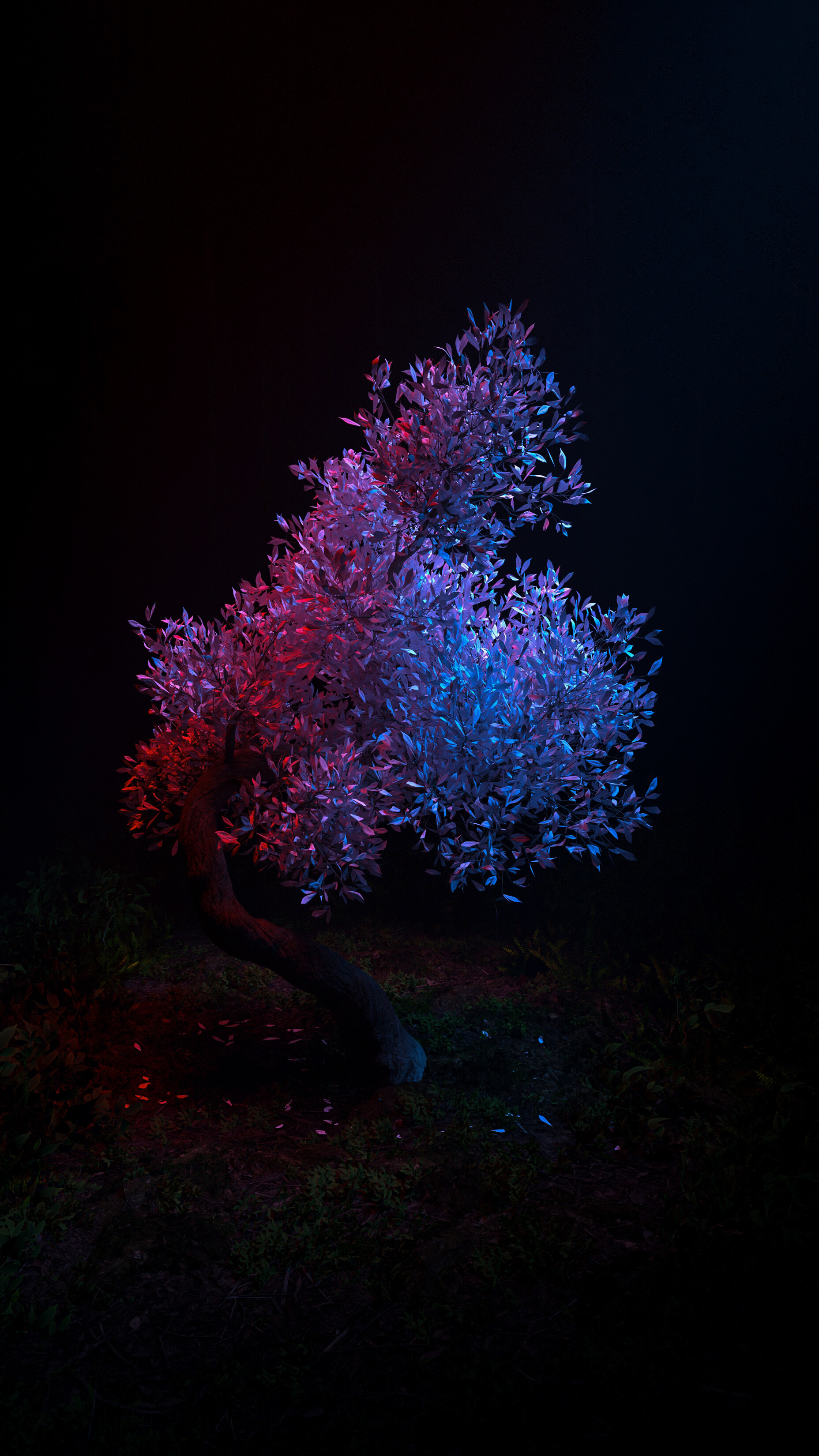 جنگل مه آلود - تصویر 13386