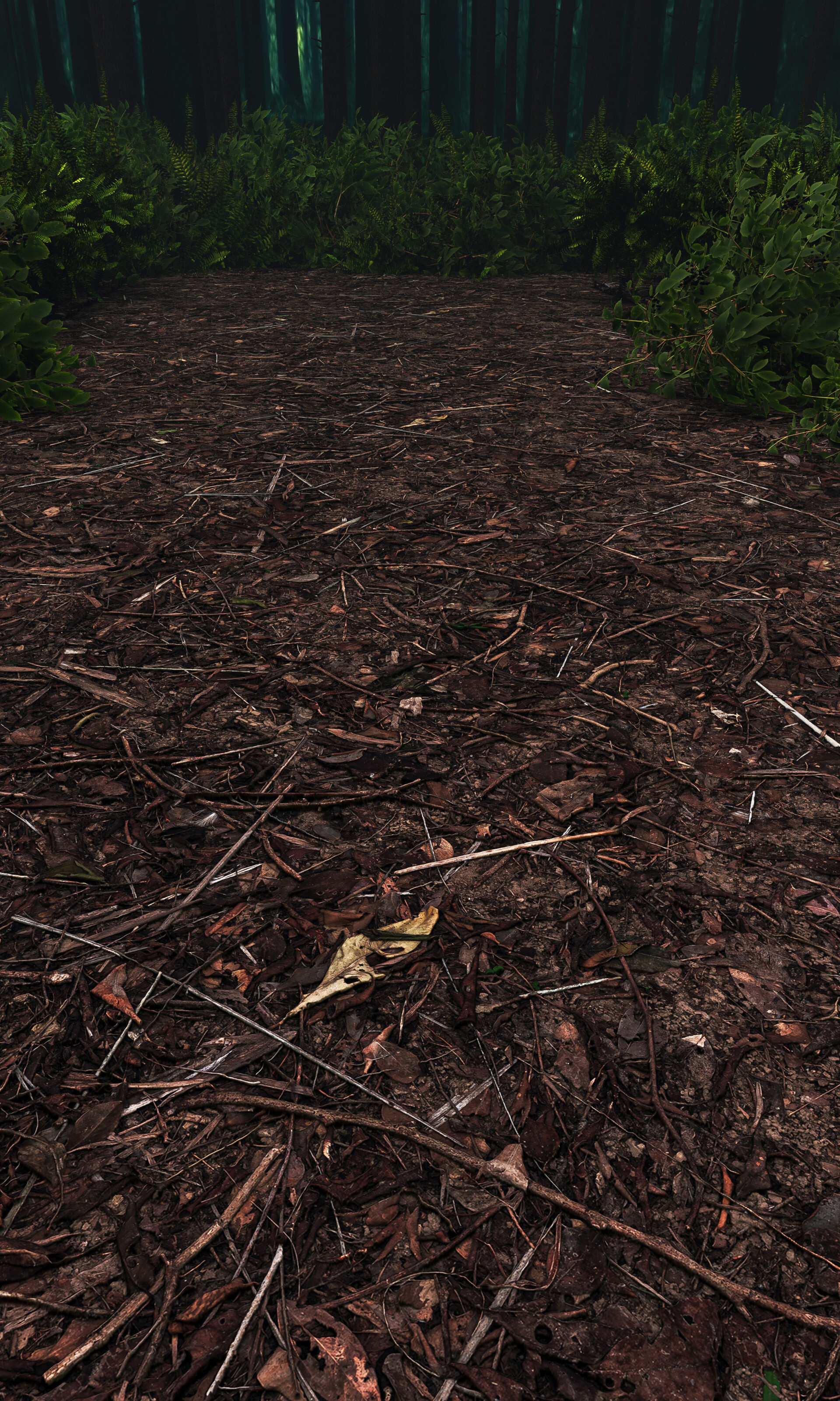 جنگل مه آلود - تصویر 13388