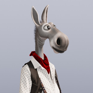 DonkeyMan