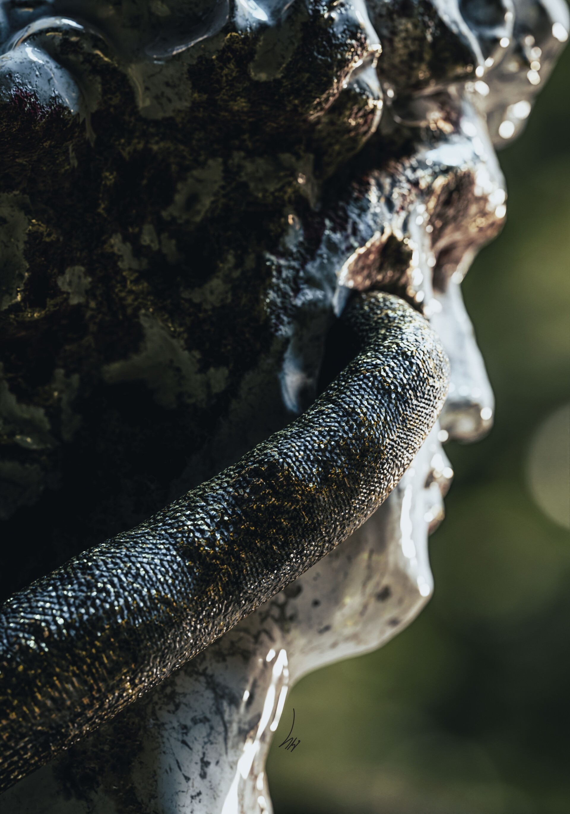 حضرت داوود - تصویر 13773