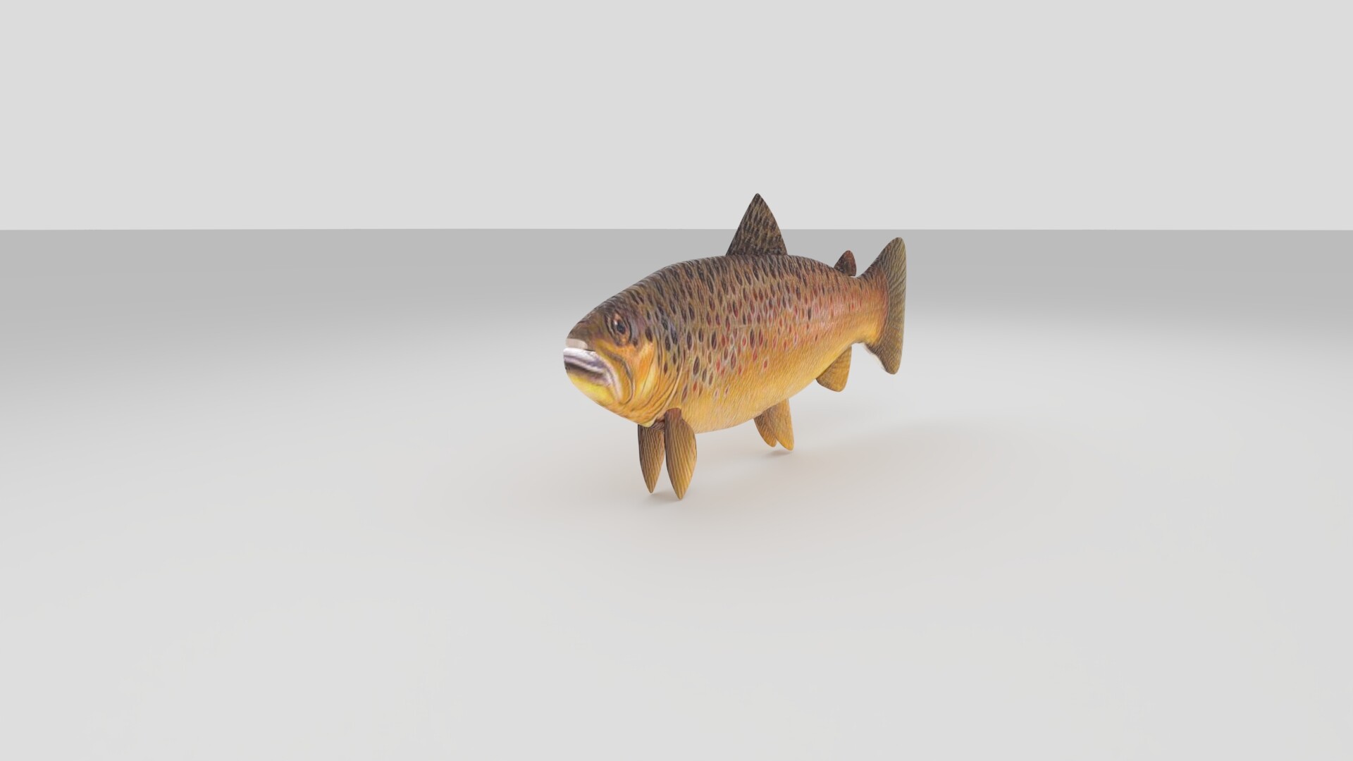 ریگ و انیمیت ماهی - تصویر 13850