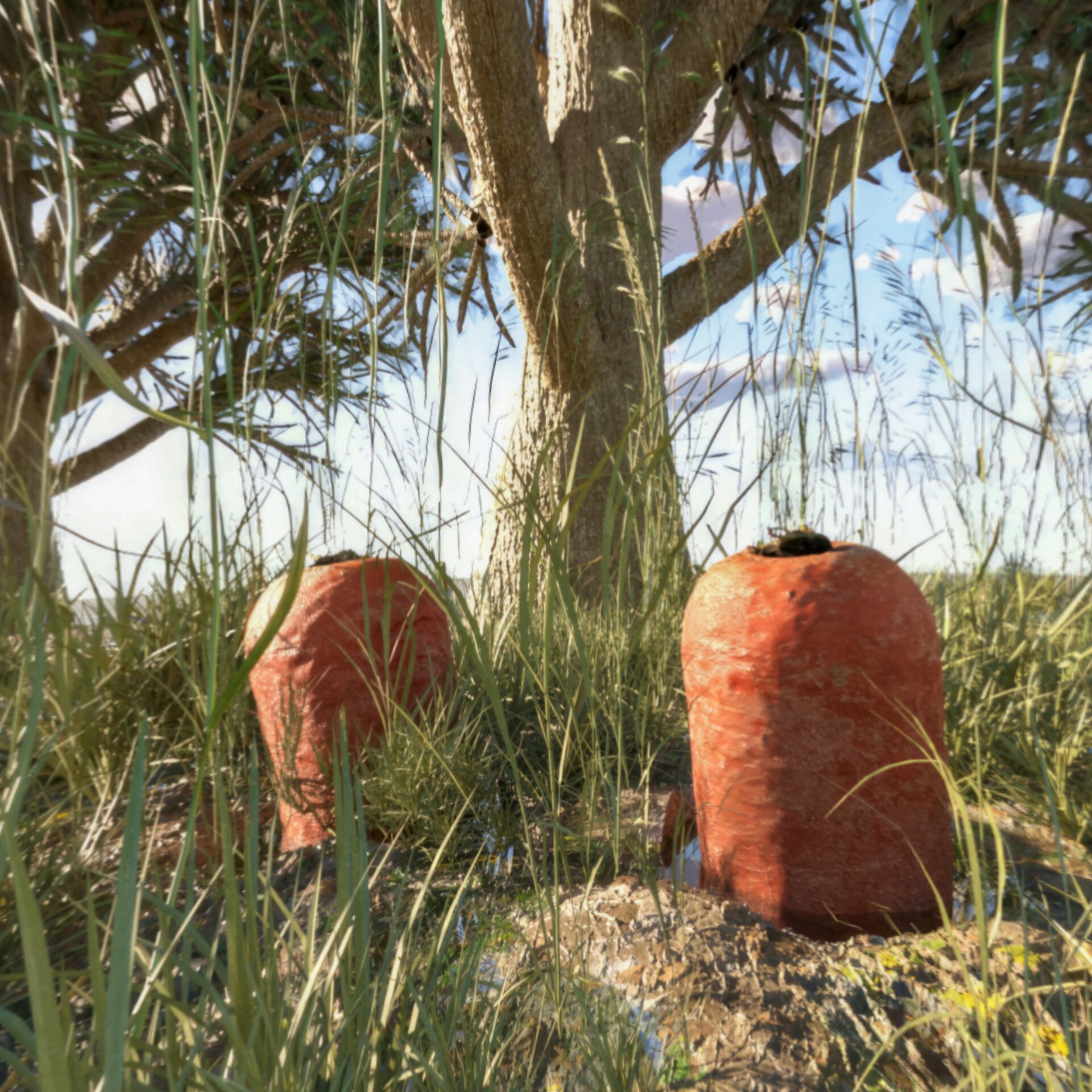 هویج - تصویر 13875