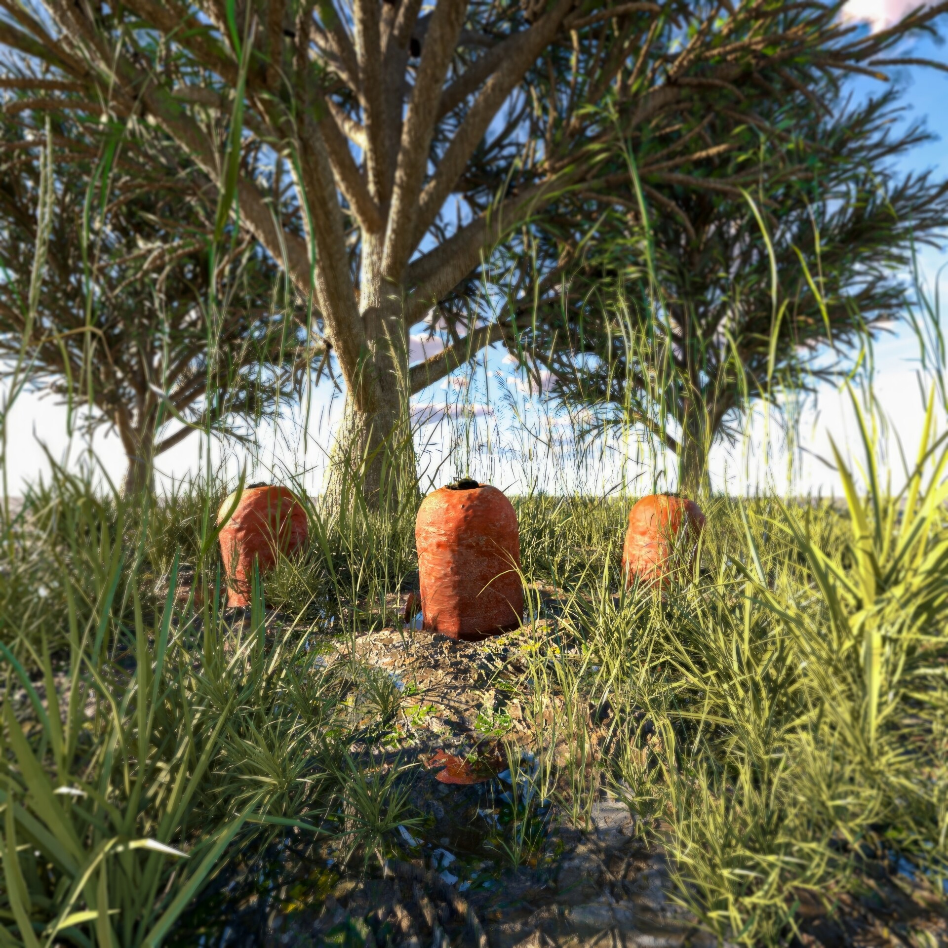 هویج - تصویر 13876