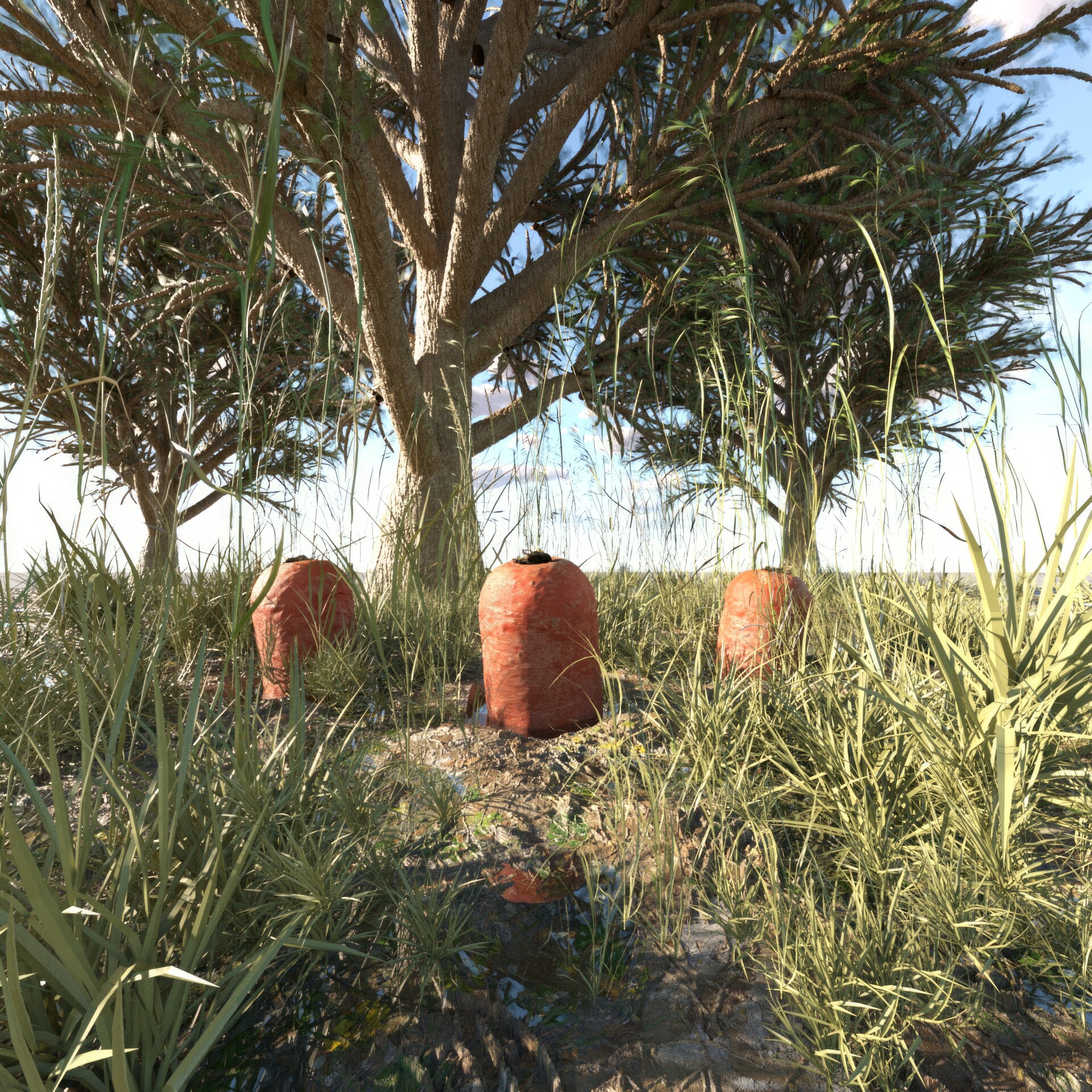 هویج - تصویر 13877