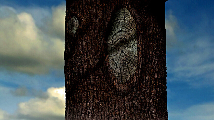 Sassanid Soldier - تصویر 13907