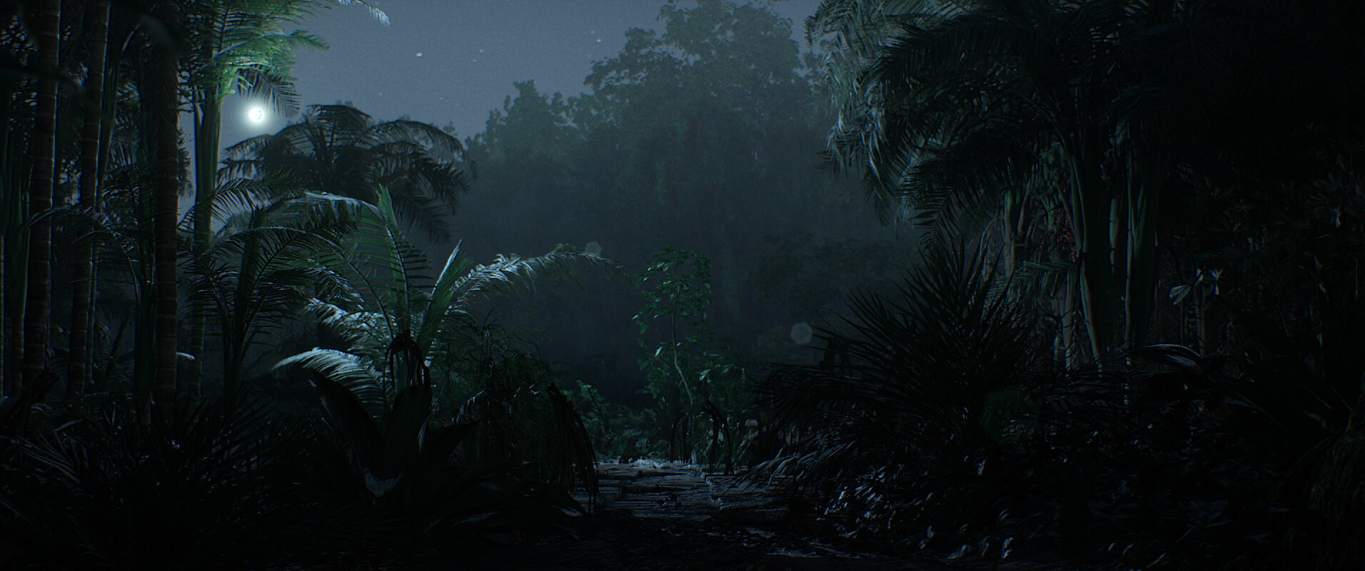 بدون عنوان (جنگل) - تصویر 13939